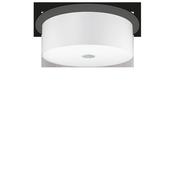 WOODY PL4 WHITE image