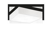 RITZ PL4 D60 image