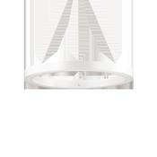 ORACLE SP D60 WHITE