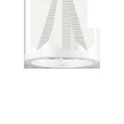 ORACLE SP D50 WHITE