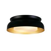 Kendal 2Lt Flush, Black &amp; Gold Metal with Frosted Diffuser image