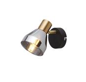 Westminster Spotlight  - Black, Satin Brass Metal &amp; Smoked image
