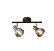 Westminster 2Lt Spot - Black, Satin Brass Metal &amp; Smoked