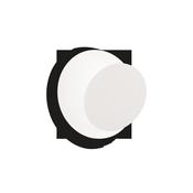 TICK AP WHITE