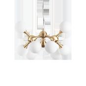 NODI SP9 BRASS