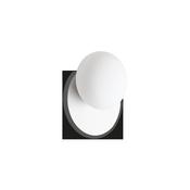NINFEA AP1 WHITE