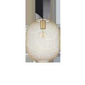 NET SP1 D24 GOLD