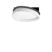 GEMINI PL D042 ON-OFF WHITE image