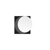 PUNTO AP D24 WHITE image