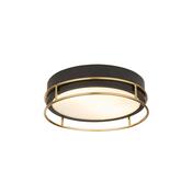 Phoenix 2Lt Flush - Black, Brass Metal &amp; Frosted Glass image