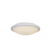 Knutsford Flush - White &amp; Frosted Glass image