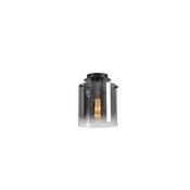 Sweden 1Lt Flush - Matt Black &amp; Smoked Glass image