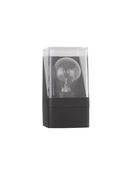 SELENA Anthracite Die-Casting Aluminum &amp; Clear Acrylic LED E27 1x12 Watt 220-240 Volt Bulb Excluded IP65 L: 8.5 W: 9.8 H: 16 cm image