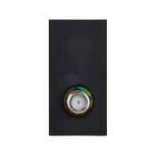 Satellite Module