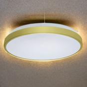 Brushed Gold Rim Led Surface Fitting
