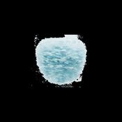 Eos Evia | lampshade image
