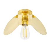 Dodoma Semi Flush Fitting image