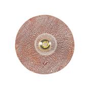 Bog Oak Wall Light image
