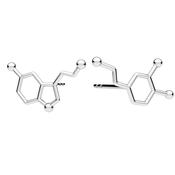 Serotonin &amp; Dopamine Mismatched Stud Earrings image