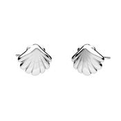 Ocean Shell Stud Earrings in Silver or Gold image