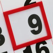 Calendar Date Indicators, E3. 20 x 28mm. 300mm