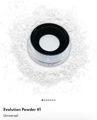 Danessa Myricks Beuaty Evolution Powder - Shade 1 image