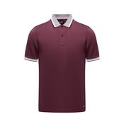 Cloud Wine Polo Shirt By 6th Sense image