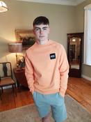Claudius Coral Sweatshirt By Diesel image
