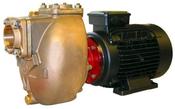 Forani &amp; Pecorari AM40 BRONZE MOTOR PUMP UNIT 400V - Marinesuppliers.ie