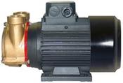 Forani and Pecorari PC25 BRONZE ELECTRIC SELF PRIMING TURBINE MOTOR PUMP UNIT 3/50/415V - Marinesuppliers.ie