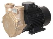 Forani and Pecorari PC40 BRONZE MOTOR ELECTRIC SELF PRIMING PUMP UNIT 400V 1.1/2" - Marinesuppliers.ie