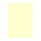 Pavo Leathergrain cover A4 250gsm Ivory Pk100