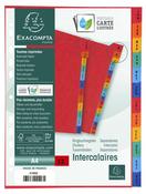 Exacompta Index Jan-Dec A4 225gsm Pressboard Assorted Colours - 3109Z