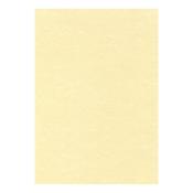 Letterhead Presentation Paper Poster Quality 165gsm A4 Champagne [50 Sheets]