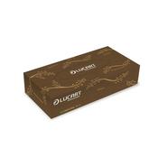 Lucart EcoNatural Facial Tissues 100 Sheets (Pack of 40) 841073 image