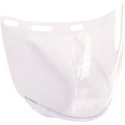 Riley Reon Polycarbonate Visor