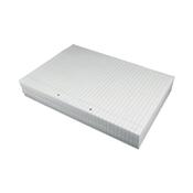 Loose Leaf Paper A4 Ruled with Margin (2500 Pack) 100101810 image