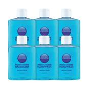 Antibacterial Soap 250ml (Pack Of 6) 0604002 image