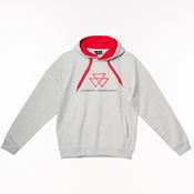 MF Greyline Hoody image