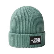 The North Face Salty Lined Beanie image