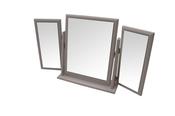 Grey Ash Fly Mirror image
