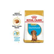 Dachshund puppy royal canin clearance