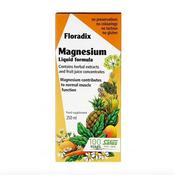 Floradix Magnesium Liquid 250Ml image