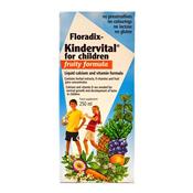 Floradix Kindervital 250Ml