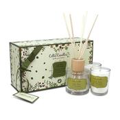 Celtic Can Mini Box Gs Lime/Basil