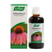 Avogel Echinaforce Cold &amp; Flu Drops 100Ml