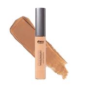 Chroma Liquid Concealer C3