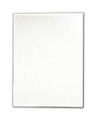 Tema Bevelled Rectangular Mirror 50 X 40CM image