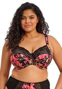 Elomi Morgan Floral Side Support Bra, Black Multi image