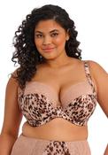 Elomi Lucie Wired Plunge Bra, Brown image